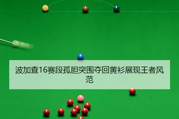 bo-jia-cha-sai-duan-gu-dan-tu-wei-duo-hui-huang-shan-zhan-xian-wang-zhe-feng-fan-2-537.jpg